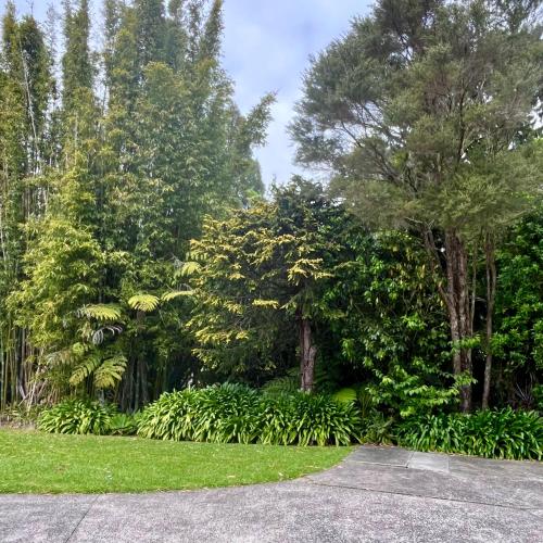 منظر, Kitchen Garden Studio Bed and Breakfast in Titirangi