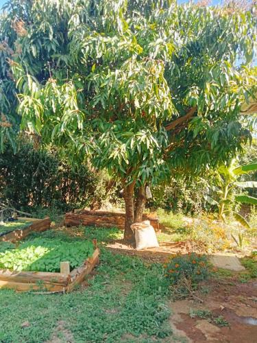 Mimie's homes in Eldoret