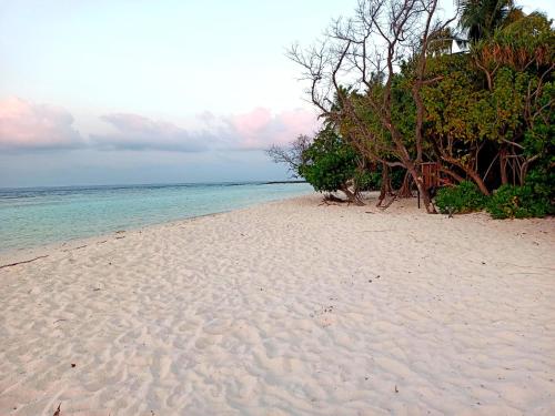 . Dhoadhi Beach Maldives