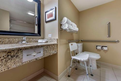 Comfort Inn & Suites - image 41