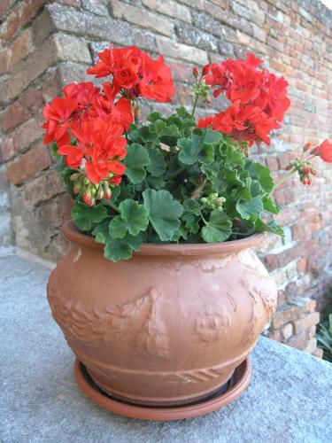 La Cantinetta Resort