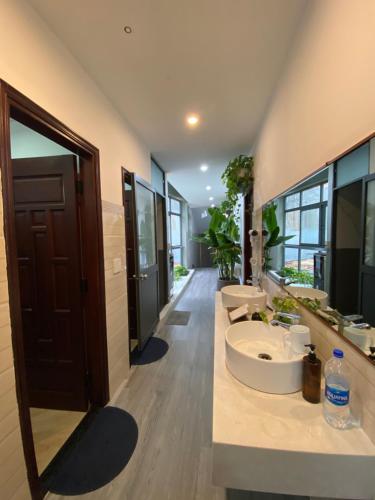 Dom Hostel Old Town Hoi An in Hội An