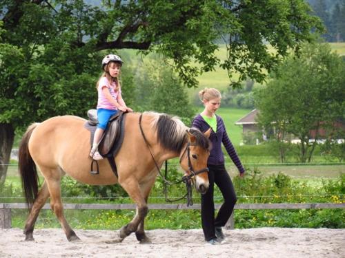 Ferienwohnung am Baby & Kinderbauerhof Stefflhof