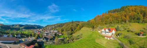 Ferienwohnungen im Renchtal in Oppenau, Deutschland