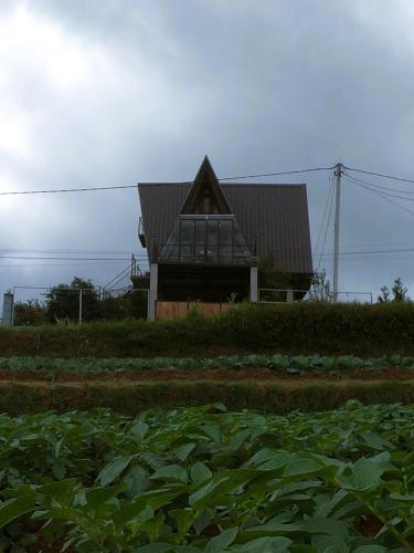 Jetzo Grand Chalet in Hakgala