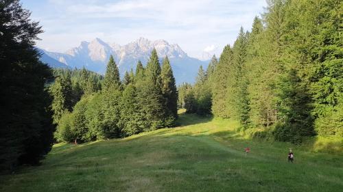Dolomites Holiday Home in Rivamonte Agordino