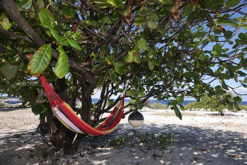 strand, Oteaeva Lodge - FAKARAVA in Fakarava