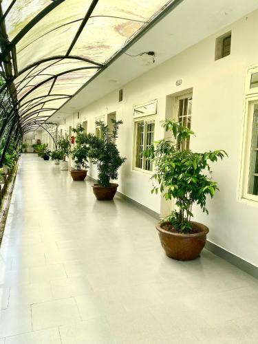 Khách sạn Bảo Lộc Garden - 전망