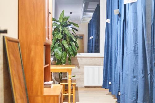 Sadržaji, Tokyo Vibes - More privacy, Self check-in in Vilnius