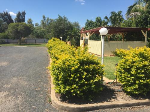 Bejárat, Macquarie Valley Motor Inn in Warren
