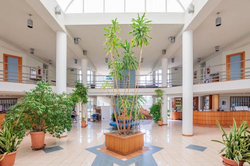 Eurhotel - image 8