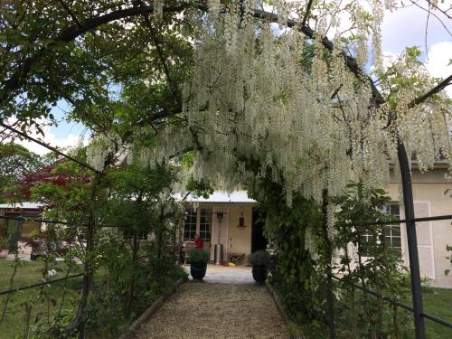 Изглед, Chez l habitant in Montfort-l'Amaury