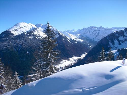 Surrounding environment, Apartment Okami in Pied de la Plagne