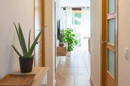 Apartamento en Benicasim playa 2