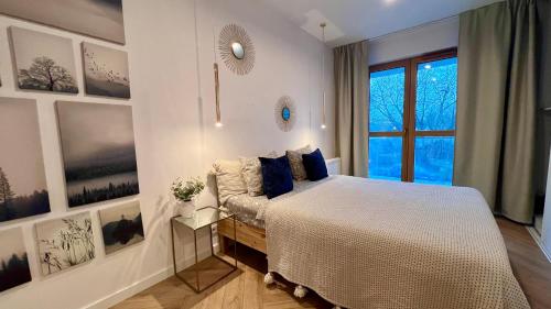 1 queen bed, 1 sofa bed