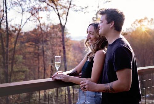 Brand NEW Log Cabins - Hot Tubs - Pet Friendly - Boutique Mountain Resort in Brevard, USA