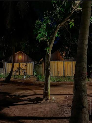 Ceylan trees, Kataragama (zdjęcie 3)