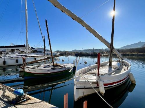 Appartement Studio 2 couchages ARGELES SUR MER AR015-302 - image 5