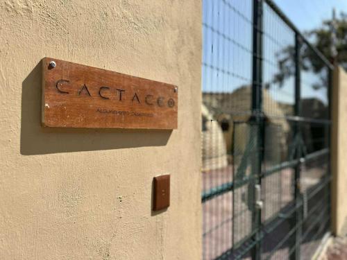 CACTACEO - alojamiento desértico, Chapala (Foto 6)