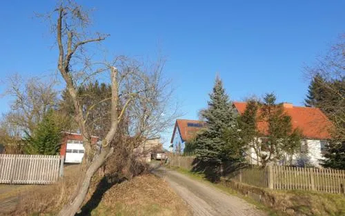 Blaues Haus-Urlaub mit Alpakas oder nur eine schöne Unterkunft in der schaalseergion in Carlow, Deutschland