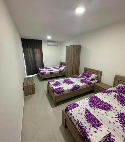 Vila Metohija - image 2