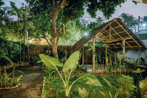 주변 환경, CosyNsurf in 마타라