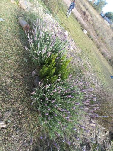 Dārzs, Casa en Villa Yacanto hermosa vista in Villa Jakanto