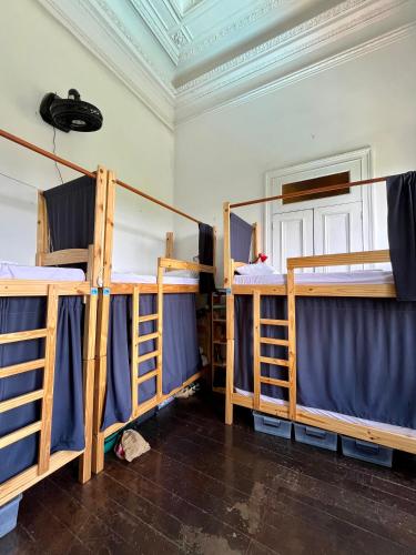 Single Bed in 6-Bed Dormitory Room image 1