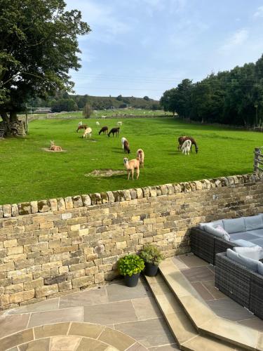 Kiln House Lodge in Fellbeck