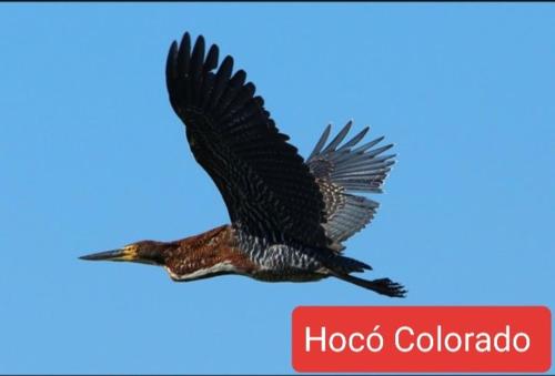 Cabaña Doña Teresa 3 Huéspedes