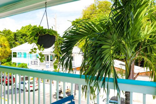 ทัศนียภาพภายนอกโรงแรม, Caribbean House in คีย์เวสต์ (FL)