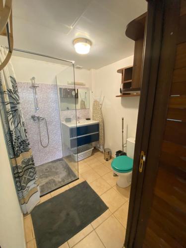 浴室, Studio de standing avec jardin - Hibiscus in 開雲