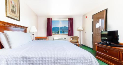 Scipio Hotel Room Type - King Room - Pet Friendly