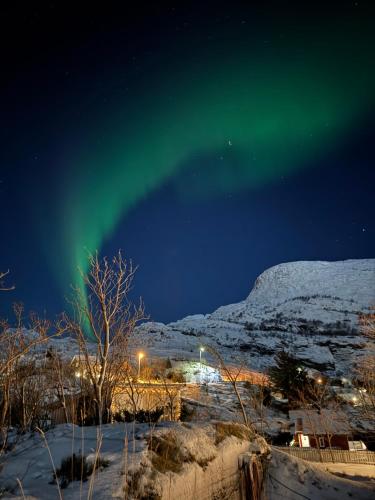 Lofotenvilla by the sea - Luksuriøs sjøvilla I naturskjønne omgivelser, Moskenes (fotografie 6)