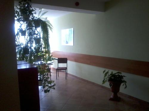 HOTEL ODR - image 9