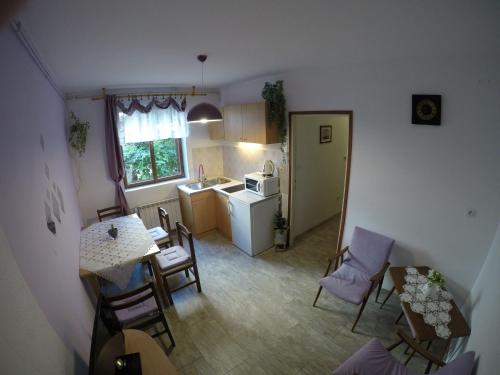 Antique apartment with balcony - image 14