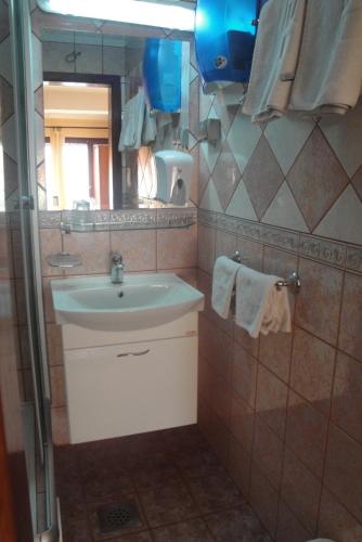 Hotel Kapistec Skopje, Skopje (photo 8)