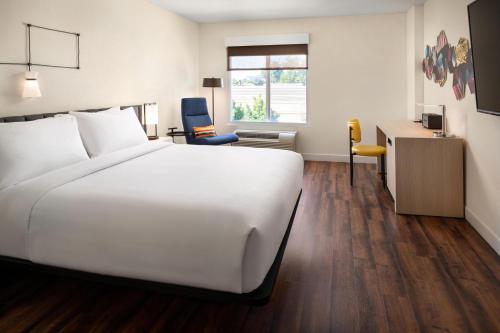 1 king bed, 1 sofa bed