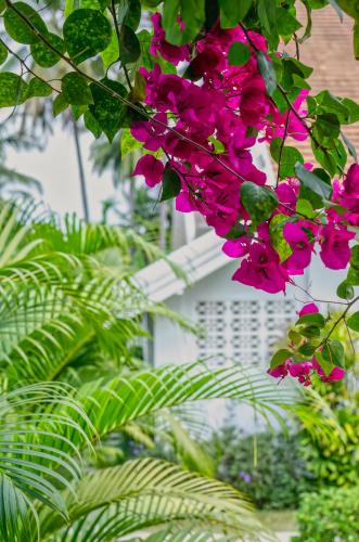 Chic stay HANA Boutique hotel