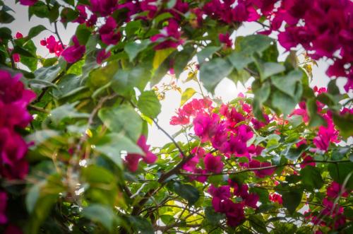 Chic stay HANA Boutique hotel