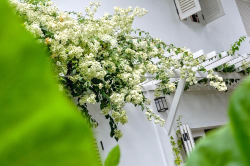 626679644 Chic stay HANA Boutique hotel