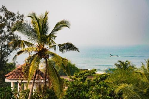 Last Minute Trip Hostel Morjim-By The Sea