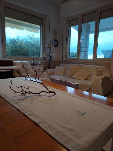 Jagatud salong / TV-ala, a vacation that becomes a dream in Portu Maga