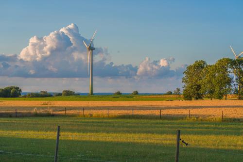 Garden, Ferienhaus Nelke in Klausdorf