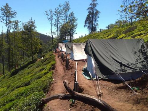 Swiss Tents in Ooty, Tn photo 5