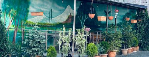 ALEM Hotel - image 5