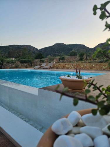 STUDIO Θαλλώ Thallo, Galaxidi (fotografie 9)