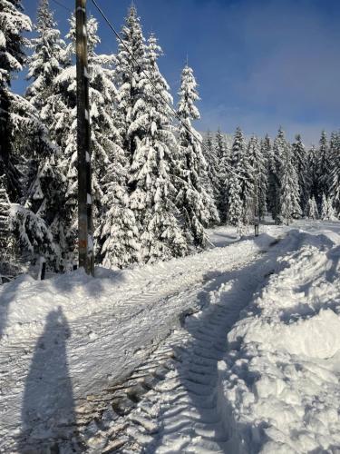 Kilátás, Cabana Andre Vartop in Vartop