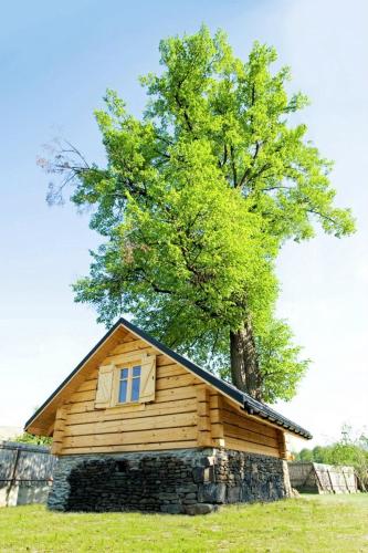 Zacisze Pod Lipą Zacisze Pod Lipą