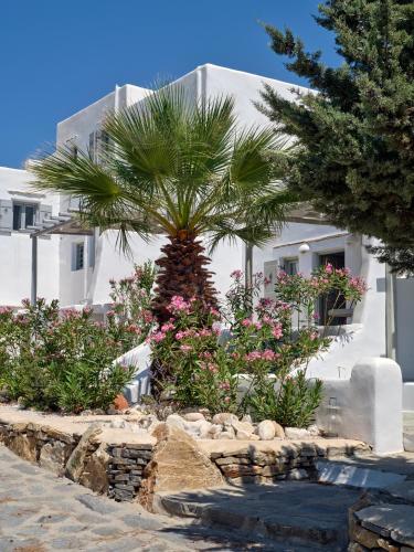 Apleton Villas Paros